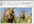 resize up to 10 images