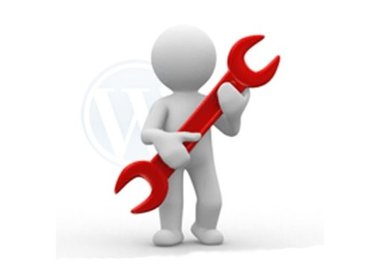 install a wordpress blog for you with plugins big1