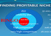 provide three keyword research reports from almost any niche in 24h, 240+ positive reviews