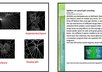 look for 5 journal articles relevant to your research and send you a pdf copy