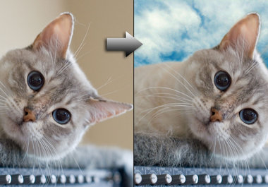 change or remove a background for one of your pictures big1