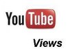 get 100 Subscribers or 50 Likes or 100 Views to your youtube video within 24hrs
