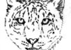 make a freehand ink sketch for you