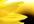 give you 295 articles in home loan, foreclosure niche