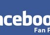 build a FB fan page with a custom logo and a twitter account with a custom backround for your website or business