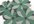 send 4 handcrafted green paint sample flowers to your US address
