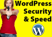 teach You How to Optimize WordPress For Speed And Security