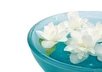 give you an essential oil consultation