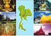 send a beautiful postcard from Thailand