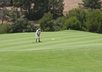 write an article up to 350 words on any golf topic