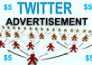 promote your website or blog to 17000 twitter followers for 1 month small1