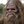 iknowbigfoot