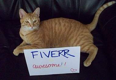 take several photos of my cat with your message big1