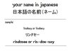 write Your English Name in Japanese Katakana