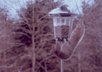 color correct a photo for you
