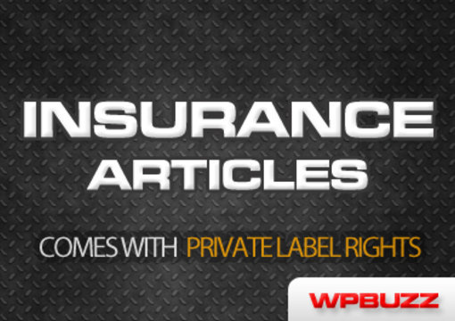 send you 2400 INSURANCE articles with private label rights included big1