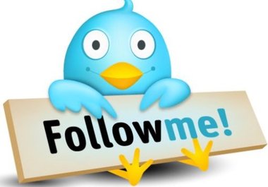 help You Get Thousands Of Twitter Followers big1