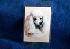 mail you 2 Poodle Dog luggage tags