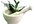 give you 5 traditional remedies of your choosing