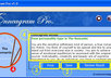 give you Enneagram Pro Software Worth 30 bucks Fully Licensed Version