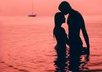 give you a awesome love astrology test suite of software just