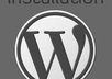 install wordpress, plugins and themes and the basic seo for your site