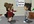 create a customized CARTOON animation video or commercial