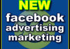 talk you through on skype step by step how to create a facebook apps fan page or fix a problem your having