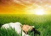 guide you through an INCREDIBLY relaxing meditation and enhance your abilities small1
