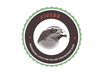 design a PROFESSIONAL logo for you