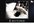 change pixel ratio/size of any picture for you