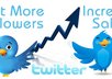Twitterfollowers