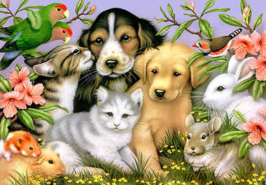 perform a REAL psychic reading for your pet big1