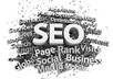 give SEO consultation on your website by providing tips, evaluating your website and theme/plugin suggestions