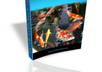 design and create ebook cover within 4days