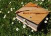 perfectly correct or rewrite your French text of 300 words small1