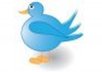 tweet your link to 31000 plus followers of mine