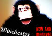 record a video message of WINCHESTER the monkey saying anything