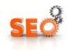 write a complete SEO report for your website