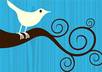 help you to add 20,000+ twitter followers to your account