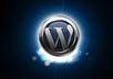 optimize your Wordpress blog database