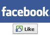 give you guarantee to like every status ,photo ,or post of yours on facebook account plus page