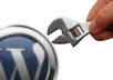 customize and fix your wordpress themes problem