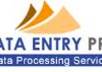 do any type of data entry and manage data quickly
