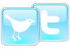 give you a Twitter account with at least 300 targeted followers which you can use to promote your services