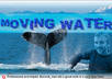 turn your photo with water into real moving water and waves