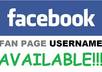 get you 25 Facebook fans to set your desired fan page custom URL