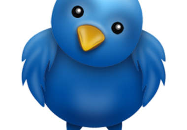 give you one Twitter account with 500+ followers big1