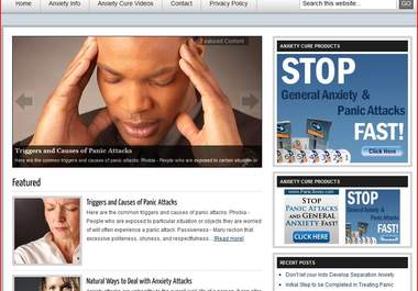 give you a PROFITABLE ready made blog about Anxiety big1