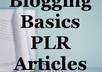 provide 5 Quality Blogging Basics PLR Articles